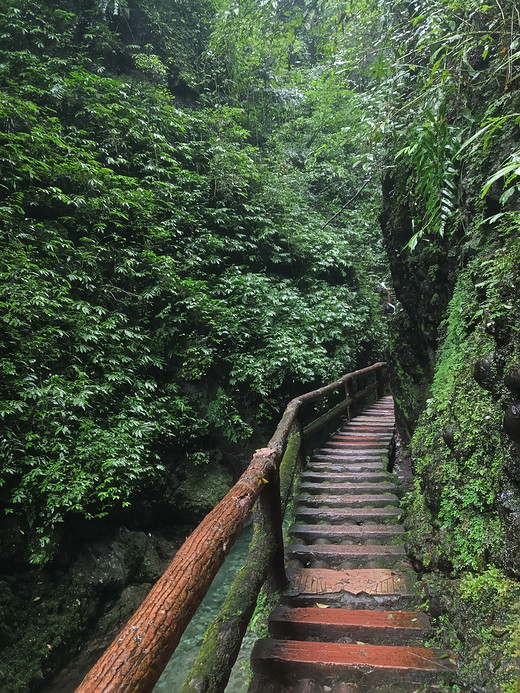 成都之旅-锦里,宽窄巷子,春熙路,都江堰,青城山