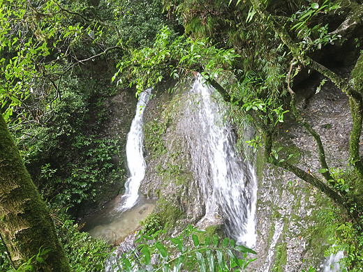 成都之旅-锦里,宽窄巷子,春熙路,都江堰,青城山