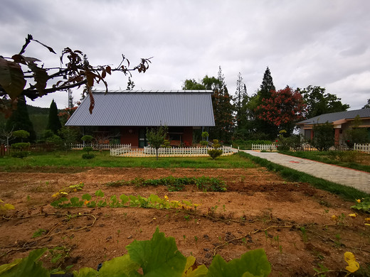 山东龙口东海游记