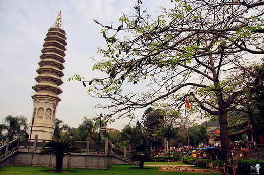 厦门游记（1）-南普陀寺,江汉路,武汉,皓月园,台湾