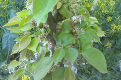 http://qyimg.iqingyi.com/inpost/20201026/22d5a7fe403c799037c709c977e77da3.jpg!postcover