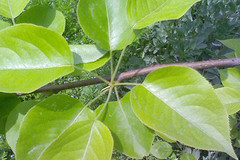 http://qyimg.iqingyi.com/inpost/20201026/2d8165d04a328a3d56a34eb185912859.jpg!postcover