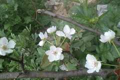 http://qyimg.iqingyi.com/inpost/20201026/312a9298f2995766070f10e8f85c657d.jpg!postcover