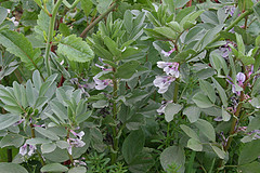 http://qyimg.iqingyi.com/inpost/20201026/3d2a7eb4da580611651938add0d2cfa6.JPG!postcover