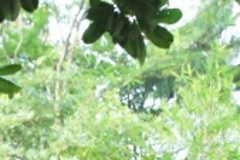http://qyimg.iqingyi.com/inpost/20201026/3e77932b91cf8f7d8d27eab57b9ff633.jpg!postcover