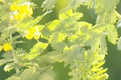 http://qyimg.iqingyi.com/inpost/20201026/76d60f50b9b1992773aa0295f2b923d7.jpg!postcover