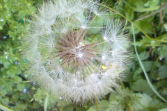 http://qyimg.iqingyi.com/inpost/20201026/7c749f28cf7190f1a36be729780ee128.jpg!postcover