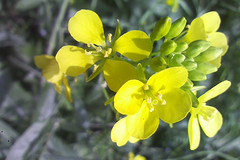 http://qyimg.iqingyi.com/inpost/20201026/db89fbe1fa2c8b177d444a72b7710e68.jpg!postcover