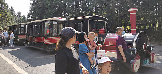 20200828—0902重庆-大足石刻,龙水峡地缝,天福官驿,天生三桥,仙女山