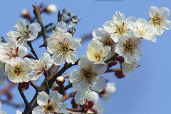 http://qyimg.iqingyi.com/inpost/20201121/ia5s5tb47k4a9vkmcvi27kuqbsk3ubhn.jpg!postcover