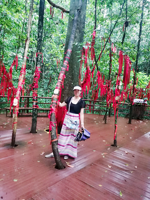 丽江-西双版纳8日游-夫子庙,南京,昆明,西双版纳原始森林公园,望天树
