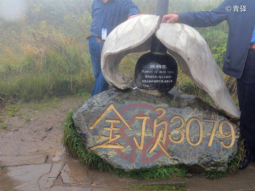 成都九寨跟团游-三江,丽江,武侯祠,黑海