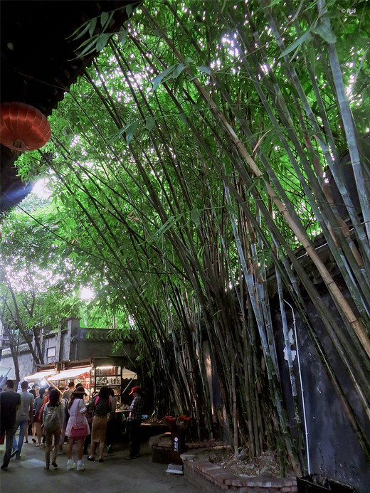 成都九寨跟团游-三江,丽江,武侯祠,黑海