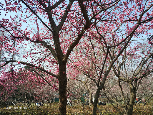 青岛的风景-栈桥,德国