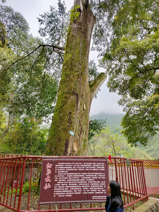 清明节雾山开化寺爬山记-洛阳,河南