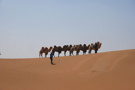 远征腾格里沙漠(阿拉善左旗)-天涯海角,罗马,黄龙,贺兰山,武功山