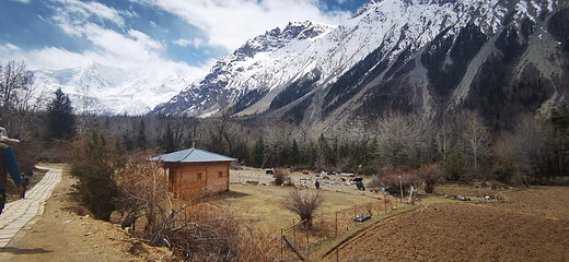 藏地游第八天-拉雅山,波密,然乌,上海,西藏