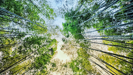 带汉服小姐姐打卡“浙江最美森林”，在小九寨沟里“爬山吸氧”