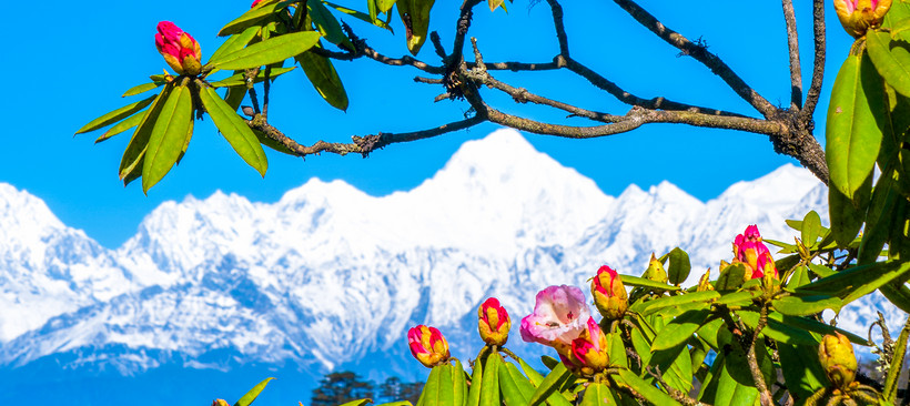  Chasing Stars and Dreams Wanggangping Cloud Feast Gongga Mountain