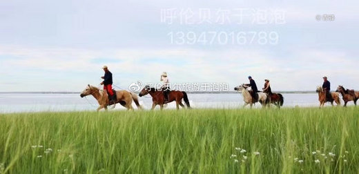 草原上适合亲子的活动有哪些—最美的相遇呼伦贝尔大草原最全旅游攻略