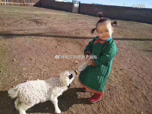 草原上适合亲子的活动有哪些—最美的相遇呼伦贝尔大草原最全旅游攻略