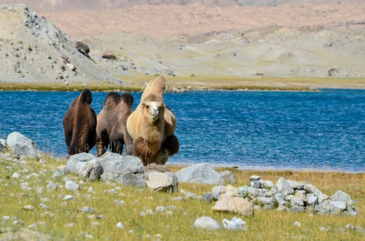 西部世界—帕米尔高原-慕士塔格峰,卡拉库里湖,天山,新疆