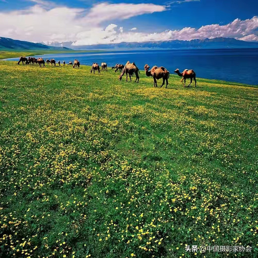 山河草原，大美新疆，来一场说走就走的旅行。