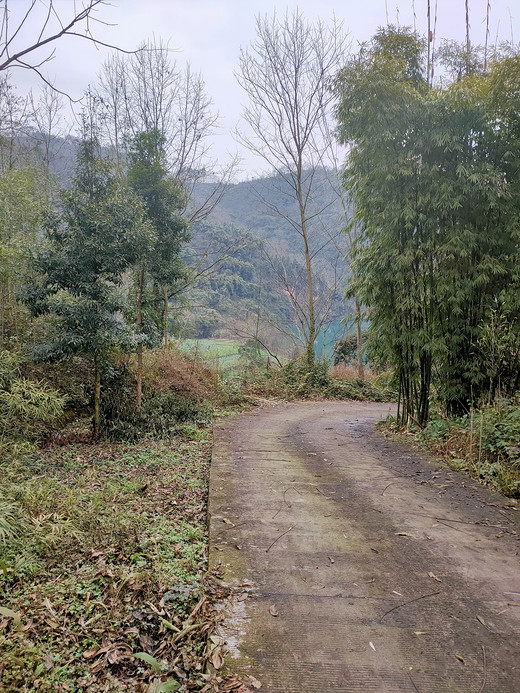 安出路美景