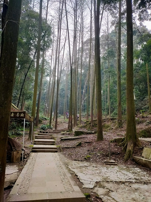 凤栖山半日游