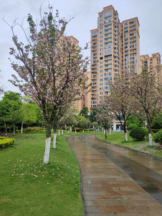 城市里的公园-城市公园