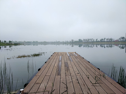 泉水湖湿地公园