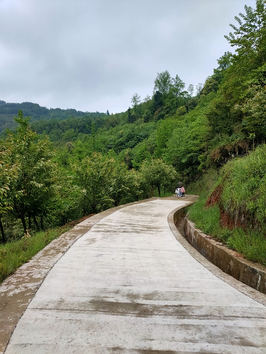 空山新雨后——雾山乡背背山