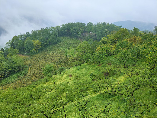 空山新雨后——雾山乡背背山