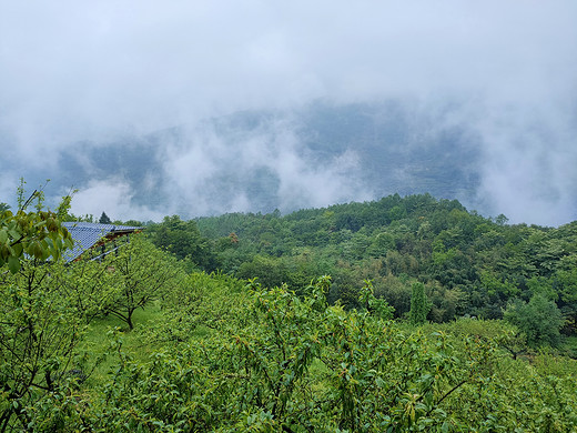 空山新雨后——雾山乡背背山