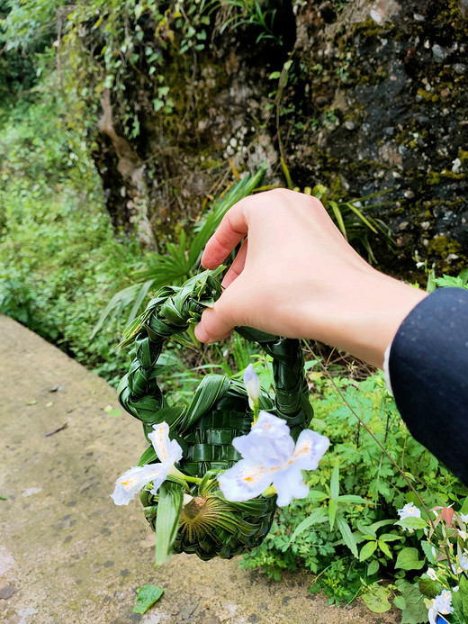 空山新雨后——雾山乡背背山