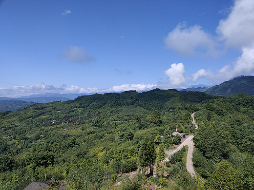 凤山花海-日照