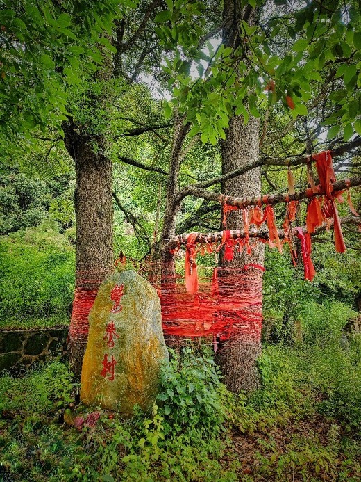 七。重走霞客路 悠悠古道情 • 之祥云-普贤寺,淡水,日本,青海