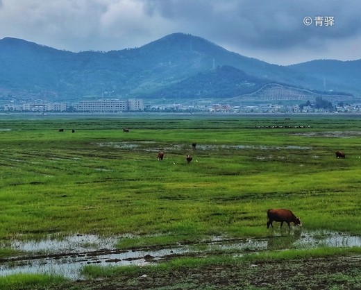 七。重走霞客路 悠悠古道情 • 之祥云-普贤寺,淡水,日本,青海