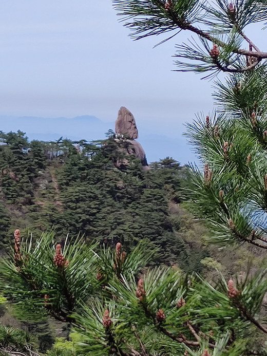 黄山游记-塔川村,宏村,福州,和龙,三清山