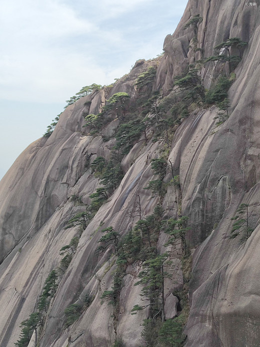 黄山游记-塔川村,宏村,福州,和龙,三清山