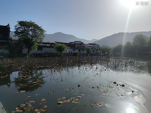 黄山游记-塔川村,宏村,福州,和龙,三清山