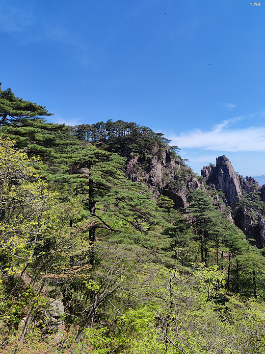 黄山游记-塔川村,宏村,福州,和龙,三清山