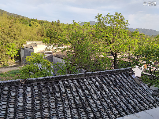 黄山游记-塔川村,宏村,福州,和龙,三清山