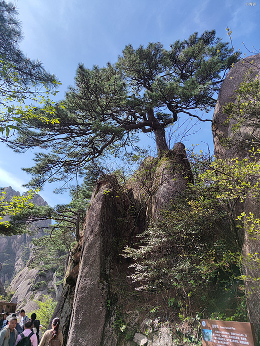 黄山游记-塔川村,宏村,福州,和龙,三清山