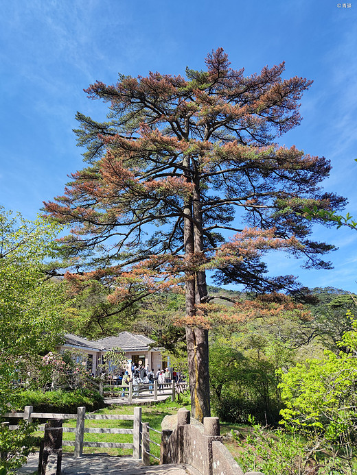 黄山游记-塔川村,宏村,福州,和龙,三清山