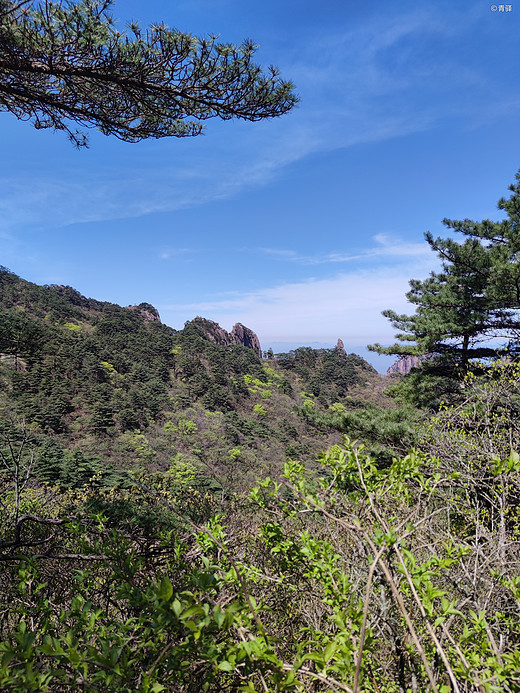 黄山游记-塔川村,宏村,福州,和龙,三清山