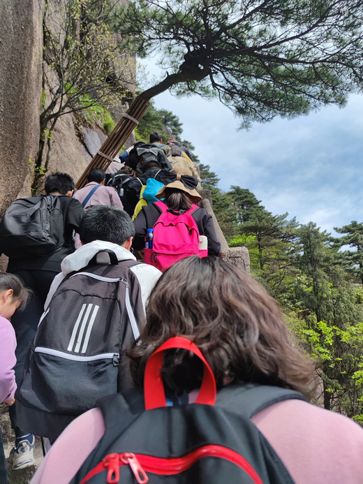 黄山游记-塔川村,宏村,福州,和龙,三清山