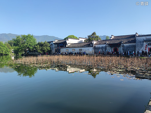 黄山游记-塔川村,宏村,福州,和龙,三清山