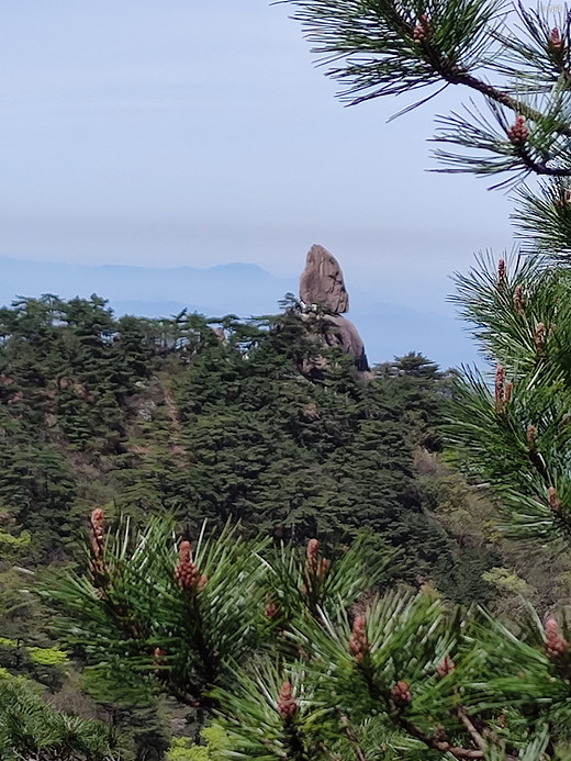 黄山游记-塔川村,宏村,福州,和龙,三清山