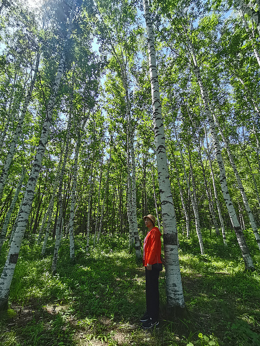 端午节游植物园        6月22日